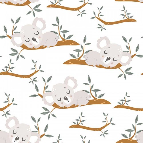 Koale śpiące na gałązkach na białym tle
