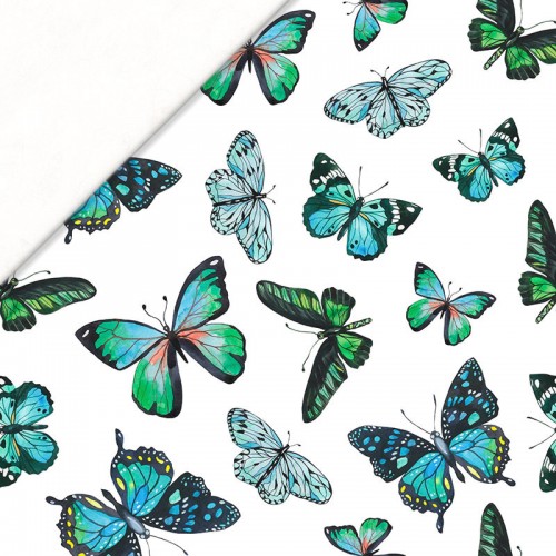 Niebieskie i zielone motyle na białym tle