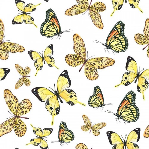 Żółte motyle na białym tle