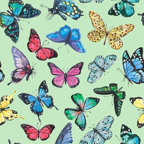 Kolorowe motyle na miętowym tle