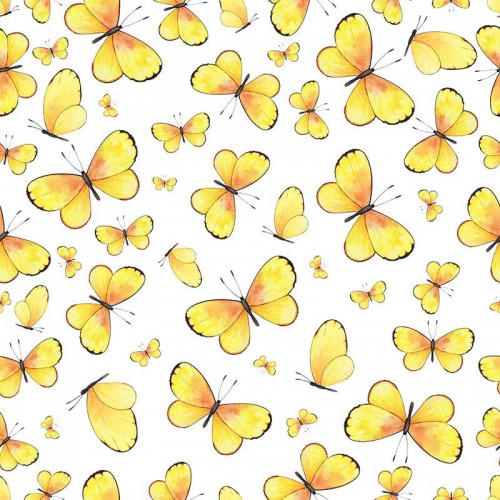 Żółte motyle na białym tle