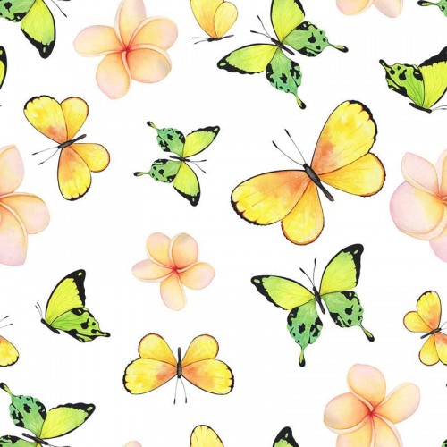 Żółte i zielone motyle na białym tle