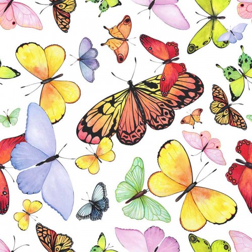 Kolorowe motyle na białym tle