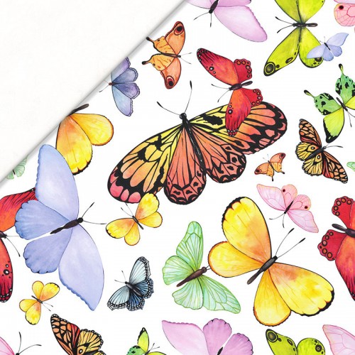 Kolorowe motyle na białym tle