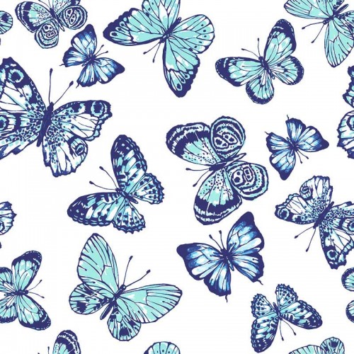 Motylki niebieskie