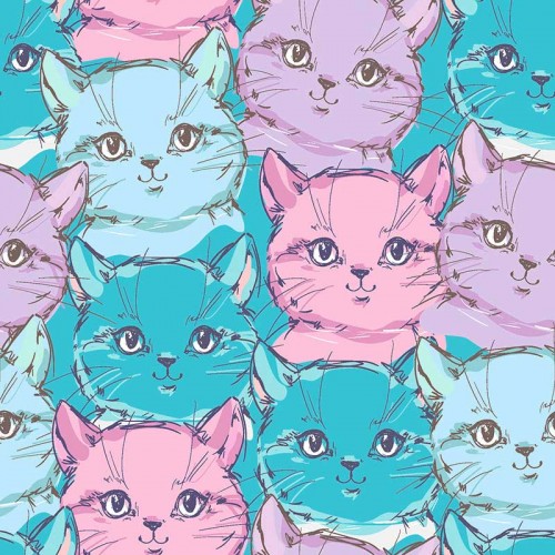 Koty różowo - niebieskie