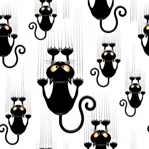 Czarne koty z ostrymi pazurami
