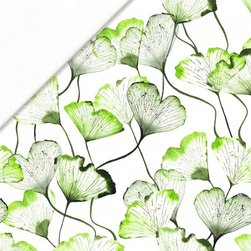 Zielone liście miłorzębu