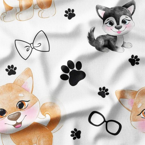 Husky i shiba na białym tle w łapki