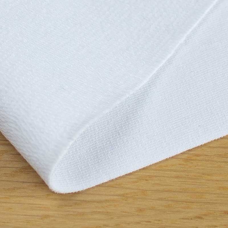 Lisy i eukaliptus na białym tle