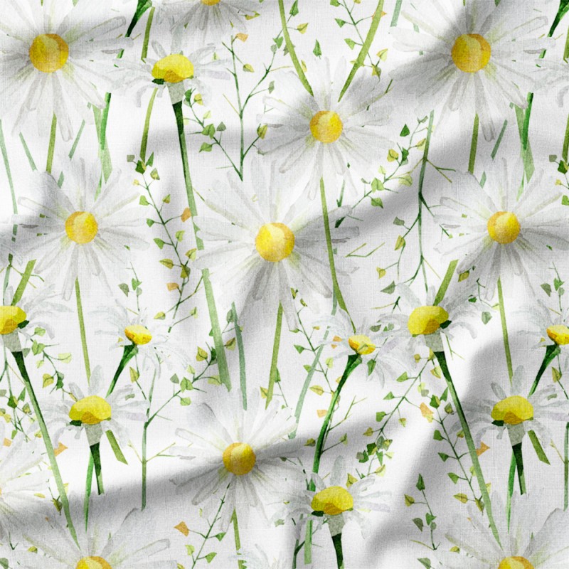 Białe rumianki na długich łodygach – dresówka z nadrukiem
